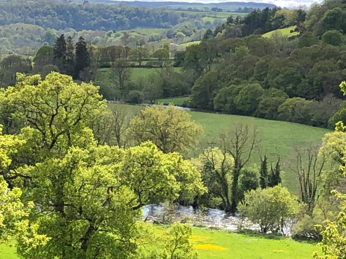 Stables Cottage, Idyllic Location Stunning Views Llandysul 外观 照片