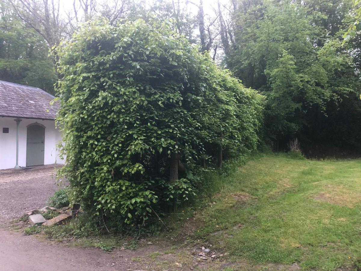 Stables Cottage, Idyllic Location Stunning Views Llandysul 外观 照片